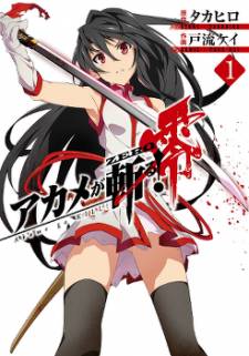 Akame ga KILL! Zero