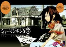 Shaman King 0