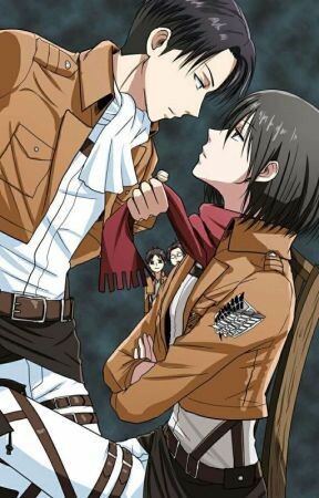 Levi mikasa どうじんし