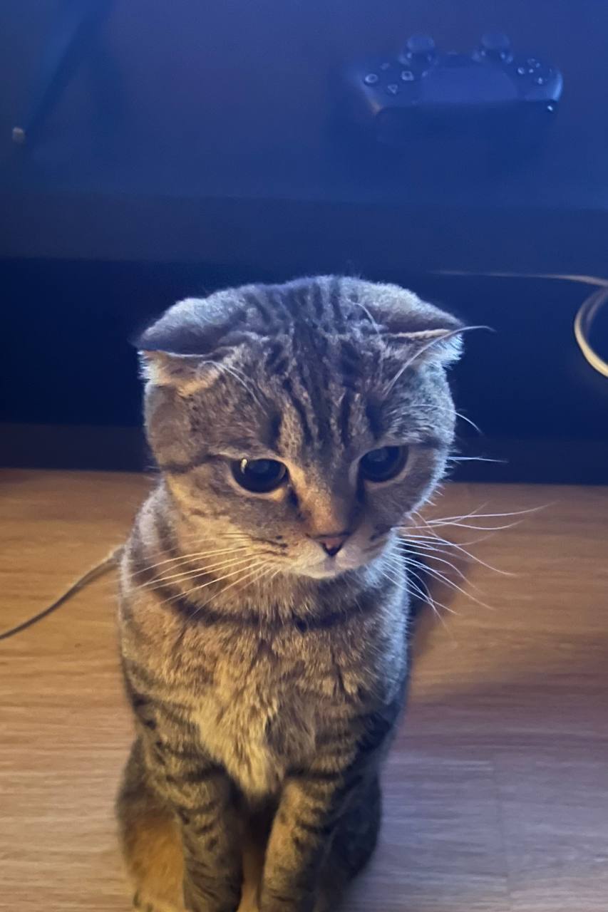 Dropped🙏🏻 Dropped🙏🏻