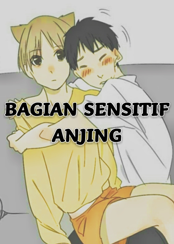 BAGIAN SENSITIF ANJING