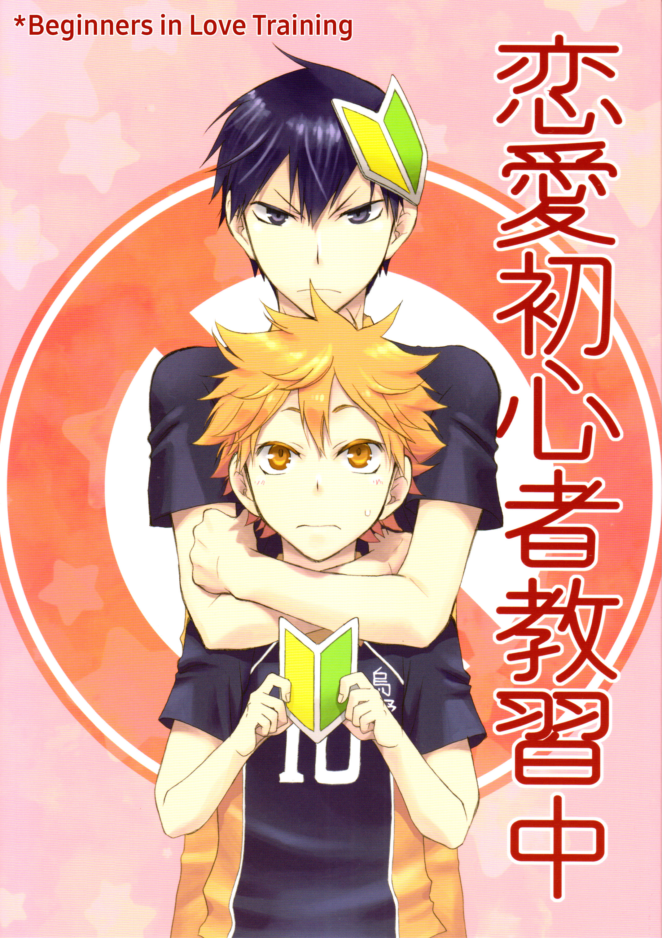 Haikyuu!! dj - Beginners in Love Training