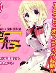 Infinite Stratos - Sugar & Honey