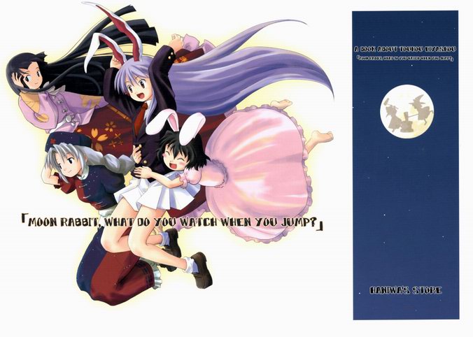 Touhou - Moon Rabbit, What do You Watch When You Jump? (Doujinshi)