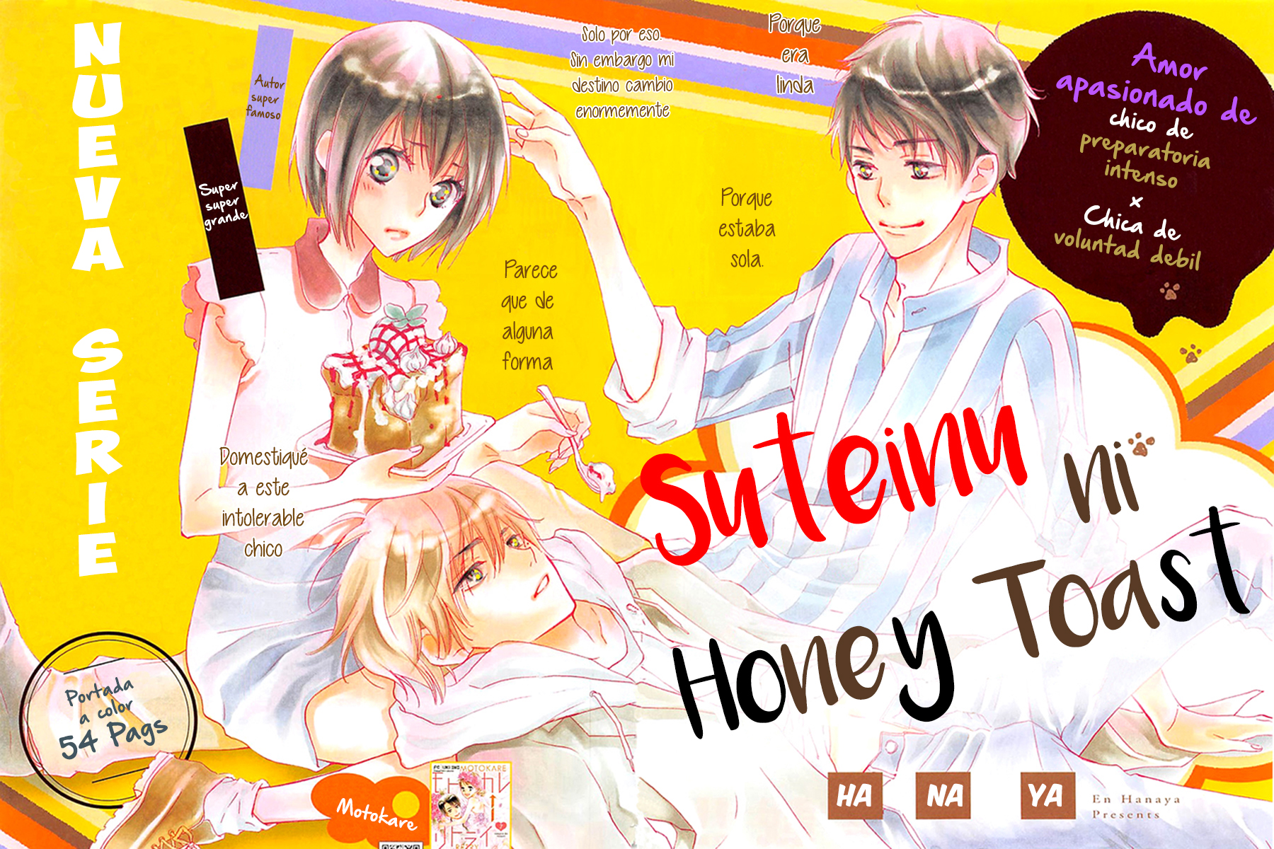 Suteinu ni Honey Toast