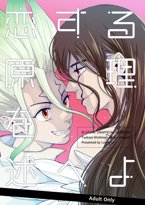 Tell Me The Principle of Falling in Love (Dr. Stone Dj)