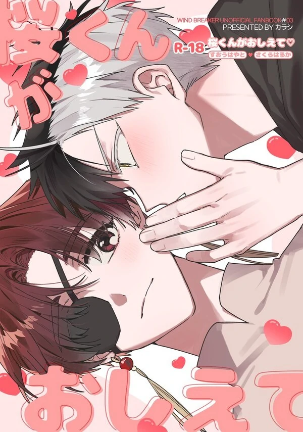 Wind breaker dj فارسی