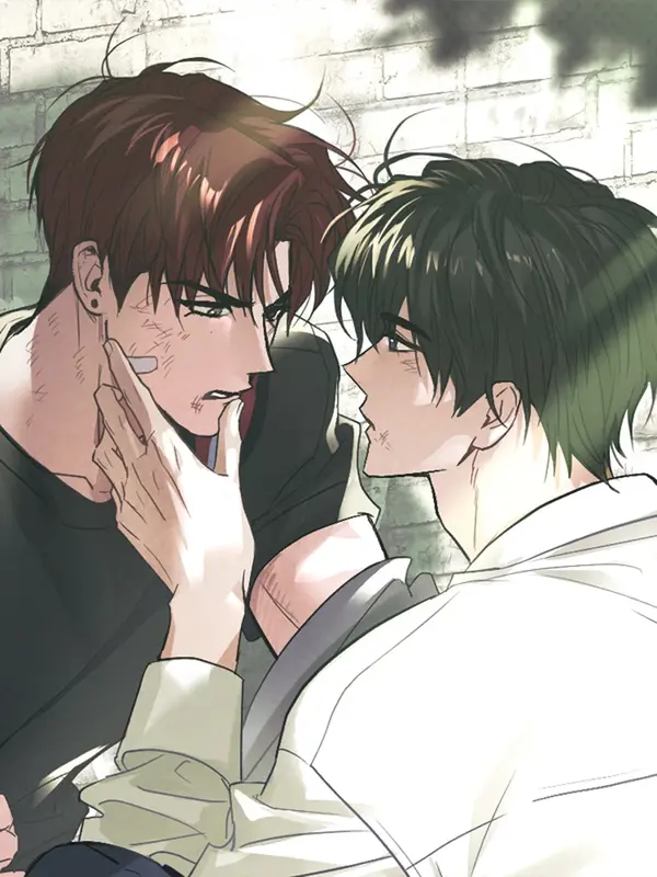 Two Tigers, Too Close [Official]