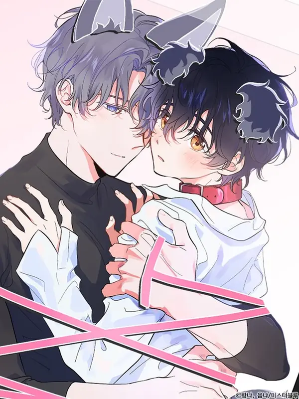 @퍼피 러브 @퍼피 러브