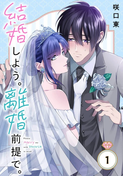Please Marry Me With Divorce in Mind