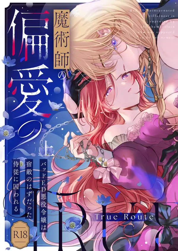 Magician's Prejudice Magician's Prejudice