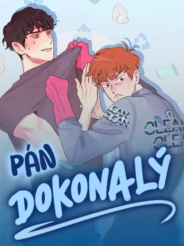 Pán Dokonalý Pán Dokonalý