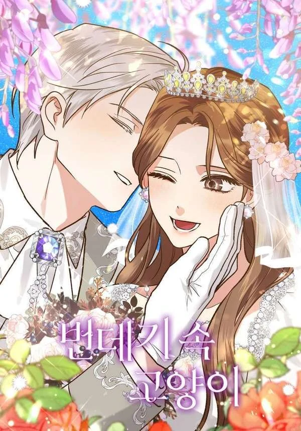 Kot w Poczwarce Kot w Poczwarce