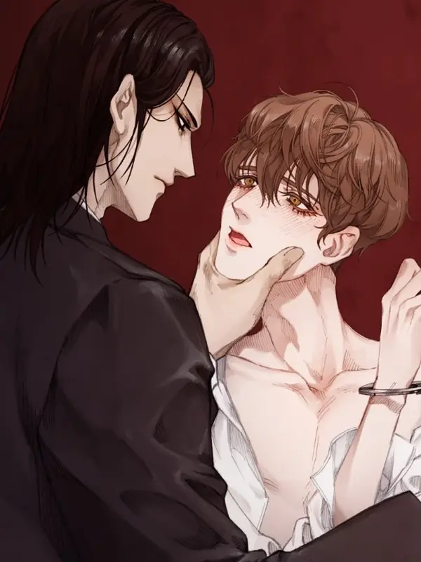 디스파르 디스파르