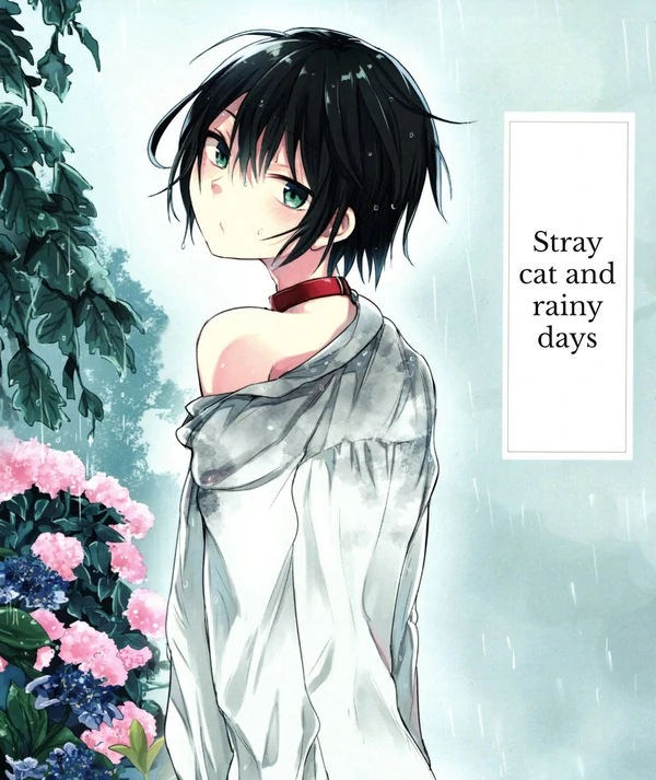 Nora neko to rainy days