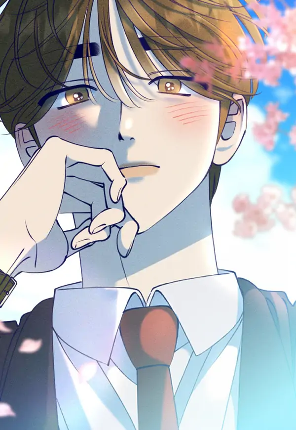 To My Affection To My Affection