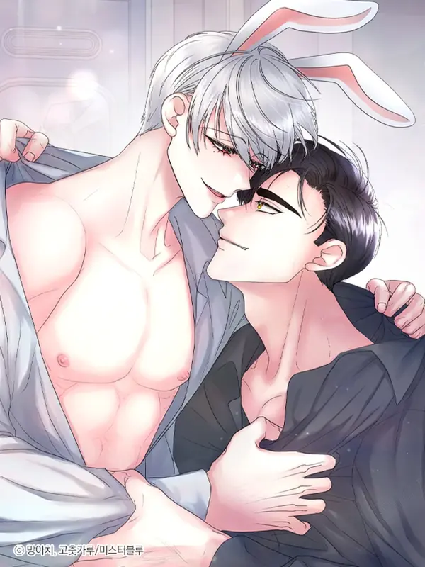 주문 (안)하신 토끼입니다 주문 (안)하신 토끼입니다