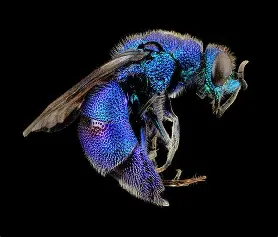 test subject test subject