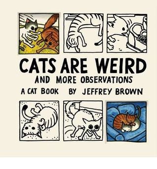 Cats are Weird and More Observations