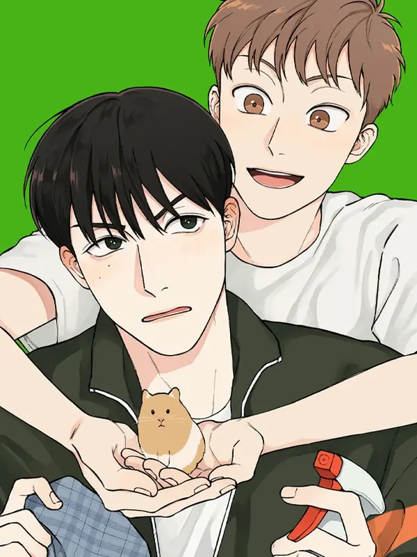 패스, 논패스 패스, 논패스