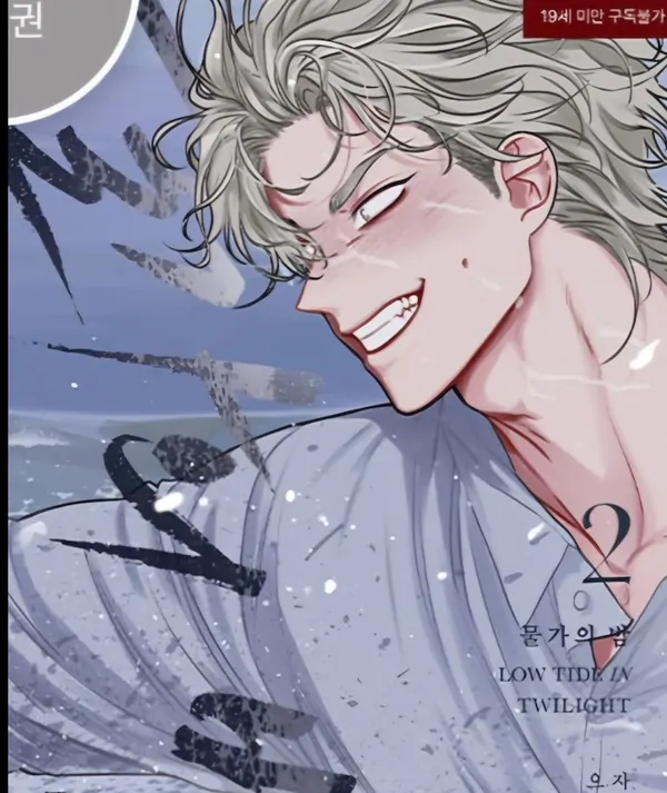 Low tide in twilight