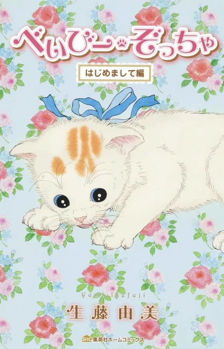 Baby Zoccha (Official) Baby Zoccha (Official)