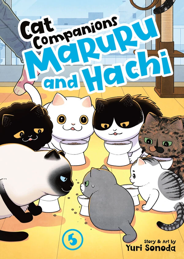 Cat Companions Maruru and Hachi [Official]