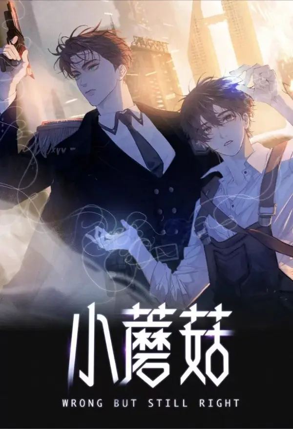 Little Mushroom Little Mushroom