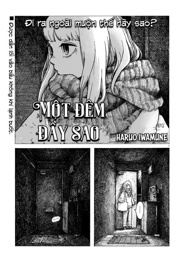 Một đêm đầy sao