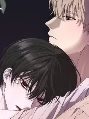 The Night of Dawn's Light || PARADISE SCANS || The Night of Dawn's Light || PARADISE SCANS ||