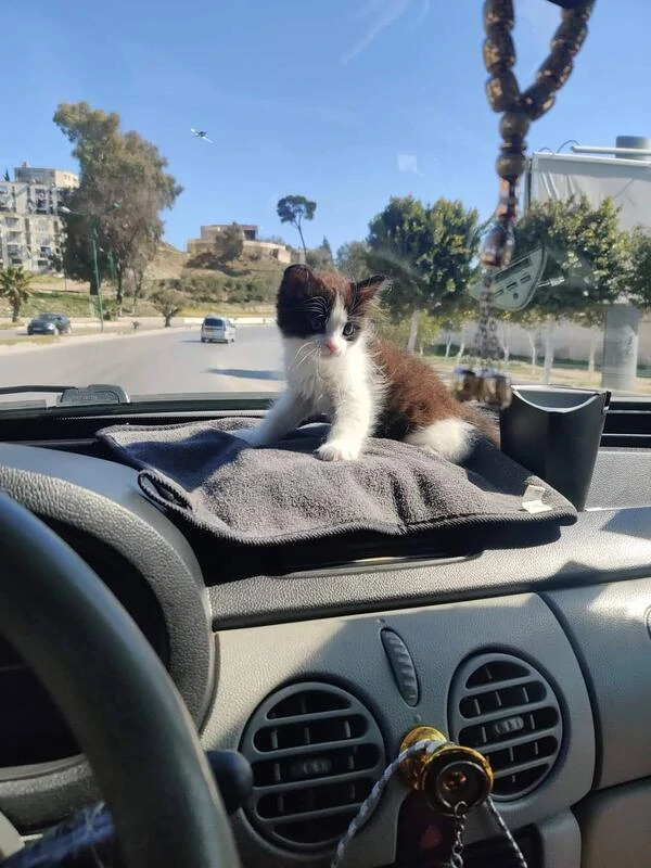 testing page testing page